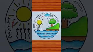 Water Cycle Project / Water Cycle Diagram / Water Cycle Drawing #shorts