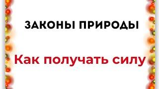 Законы природы. Как получать силу?