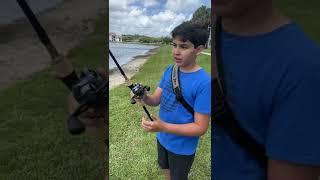 NEW Cuardo Dc Reel Review !!
