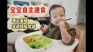 【自主进食超全攻略】一开始如何添加辅食？呛到？一直扔食物？怎么排敏？过敏了？六月龄饭霸养成日记