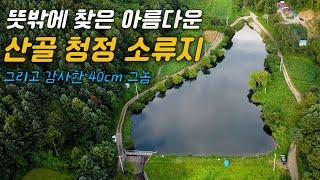 방황하다 찾은 쓰레기 하나 없는 청정 산골 소류지 그리고 감사한 4짜