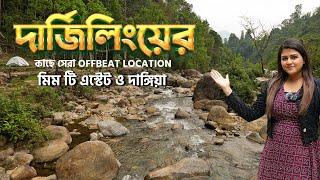 Offbeat Darjeeling | Mim Basti & Dangia | Little Forest Homestay | Veritaas Quest | Sangita Debnath