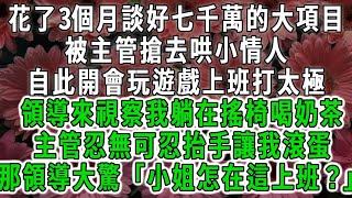 花了3個月談好七千萬的大項目，被主管搶去哄小情人，自此開會玩遊戲上班打太極，領導來視察我躺在搖椅喝奶茶，主管忍無可忍抬手讓我滾蛋，那領導大驚「小姐怎麼在這上班？」#荷上清風#爽文