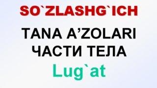 TANA A'ZOLARI. Русча узбекча лугат. ЧАСТИ ТЕЛА, Русско-узбекский словарь.