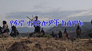 Anchor Media የፋኖ ተጋድሎዎች ከሰሞኑ፥ ጎንደር - ጎጃም - ወሎ - ሸዋ