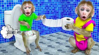 KiKi Monkey go to toilet help friend with toilet paper and swim with Ducklings | KUDO ANIMAL KIKI