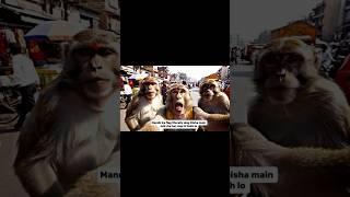 how to making a ai monkey vlogger/blogger video( AI से बंदर का ब्लॉग वीडियो कैसे बनाए )