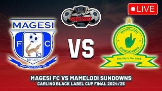 Magesi FC vs Mamelodi Sundowns Carling Black Label Cup Final 2024 | Carling Knockout Cup Final 2024