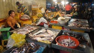 Cambodia Early Morning Fish Market - Plenty Rural Fish, Seafood & More Food Selling In Early Morning