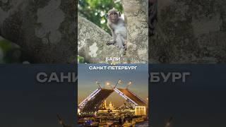 Бали или Санкт-Петербург? А вообще идеальных мест не бывает)