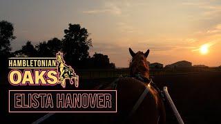 2024 | Hambletonian Oaks | Elista Hanover | Batman Breath Away