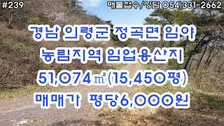 [239. 의령군 정곡면 임도가 펼쳐져있어 차량진입 매우 용이한 양봉임야 평당6,000원] 청정지역으로 남향의 지세로 양봉 산약초 산채재배및 주말농장지로 활용하시면 좋을것 같습니다