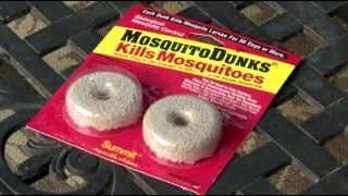 Eliminate Mosquito Breeding Sites