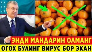 ШОШИЛИНЧ! ШОК ХАБАР УЗБЕКИСТОНДА МАНДАРИН ИСТИМОЛИ ОТМЕН..