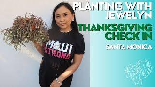 Planting with Jewelyn Thanksgiving edition: Life update, blooming season + new art