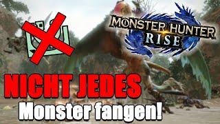 Warum ihr NICHT jedes Monster FANGEN SOLLTET! | Monster Hunter Rise