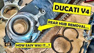 Ducati V4 Rear Hub Removal/Service