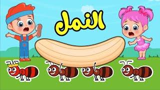 أغنية النمل | اغاني اطفال عالم فلافي | Fluffy World