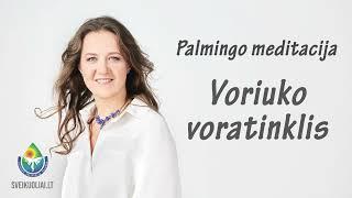 Palmingo meditacija - Voriuko voratinklis