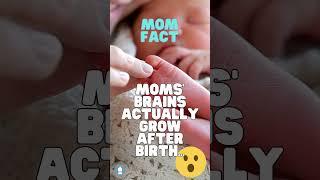 Moms' Brains Grow After Birth! #babyfacts #MomFacts #BrainGrowth #NewMoms