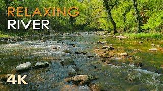 4K Relaxing River - Ultra HD Nature Video -  Water Stream & Birdsong Sounds - Sleep/Study/Meditate