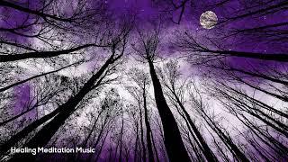 Raise Your Cosmic Energy Music | Universal Cosmic Healing Meditation | Travel the Astral Planes