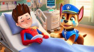 What Happened to SPIDER MAN RYDER?! CHASE Please Don't Cry | So Sad Story | Paw Patrol 3D Animation