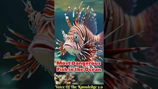 Red Lionfish  Beauty with a Hidden Threat | Voice of the knowledge 2.0 #amazingfacts #shorts