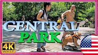 【4K】WALK CENTRAL PARK walking tour - NEW YORK City, NY USA 2019 4k documentary travel channel