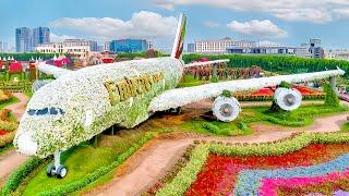 Dubai Miracle Garden 2025 | World's Largest Natural Flower Garden | 4K Trip Vlog