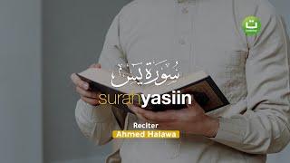 Bacaan Surah Yasin Merdu سورة يس - Ahmed Halawa | Tadabbur Daily