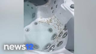 Greenlawn family's dream vacation turns into nightmare after booking rental home | News 12