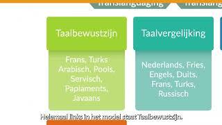 Theoretische kennisclip Taalbewustzijn