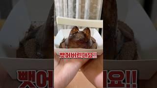 무서운 푸냥이