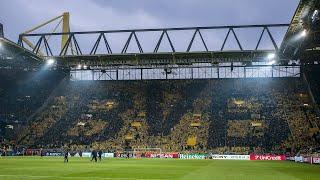 Inside Borussia Dortmund: Passion, History, and the Yellow Wall