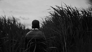 Salthouse Marshes.