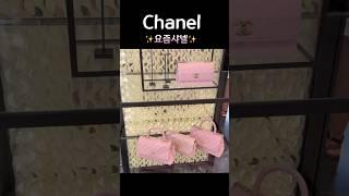 요즘샤넬, Chanel Buzz