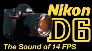 Nikon D6 14 FPS Shutter Sounds