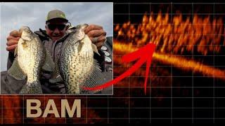 Crappie Techniques (that you must learn)