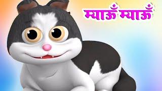 Meow Meow Billi Karti | Kids Poems In Hindi | Hindi Balgeet | म्याऊँ म्याऊँ | Riya Kids TV