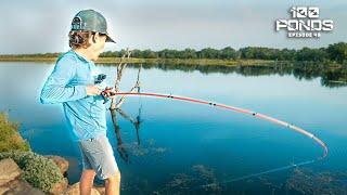 Fishing The BEST Pond I've Ever Seen?? (100 Ponds Ep. 48)