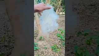 https://youtube.com/shorts/QoYDy_ngBBI?si=gwsKBSVMlne604q1 #nature #villagelife#tranding#viralshort
