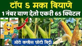 टॉप मका बियाणे एकरी घ्या 65 क्विटल उत्पन्न / Maka Biyane / Top corn seeds / Top maize Hybrid seeds