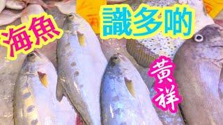 Steamed Giant Queenfish with Ginger & ScallionsUnique Texture: Firm Yet Smooth & Tender海魚（黃祥魚）