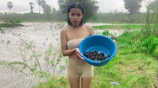 1 shot video catches many snails in heavy rain