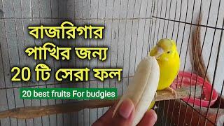 20 Suitable Fruit and Vegetables For Budgies| Food for Budgies| Safe fruits and vegetables for birds