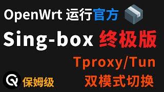 openwrt使用singbox的终极方式、proxy/tun双模式，openwrt与Sing-box完美搭配，官方singbox、超越插件的使用体验、解锁全部功能、自动更新配置与订阅