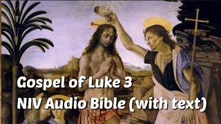 Luke 3: NIV Audio Bible(with text)