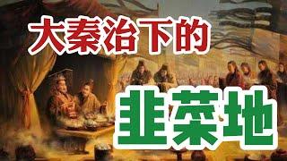 睡虎地竹简出土，重新解读秦朝暴政，司马迁，陈胜是在撒谎吗？全民为奴--秦法背后，商鞅针对秦国全体国民的阴谋/秦昭襄王为何对灾民见死不救/石崇---铲韭菜根的始作俑者/秦国的徒刑都是无期徒刑