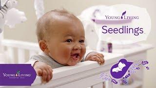 Introducing Seedlings™ | Young Living Essential Oils